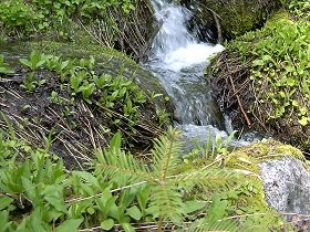 MT. Ireland water 280